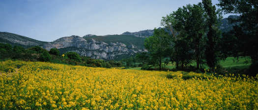 consejos-recomendaciones-1 consejos-recomendaciones-1