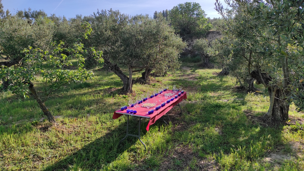 regeneración del paisaje del olivar tradicional  oliolive_oleoturismo