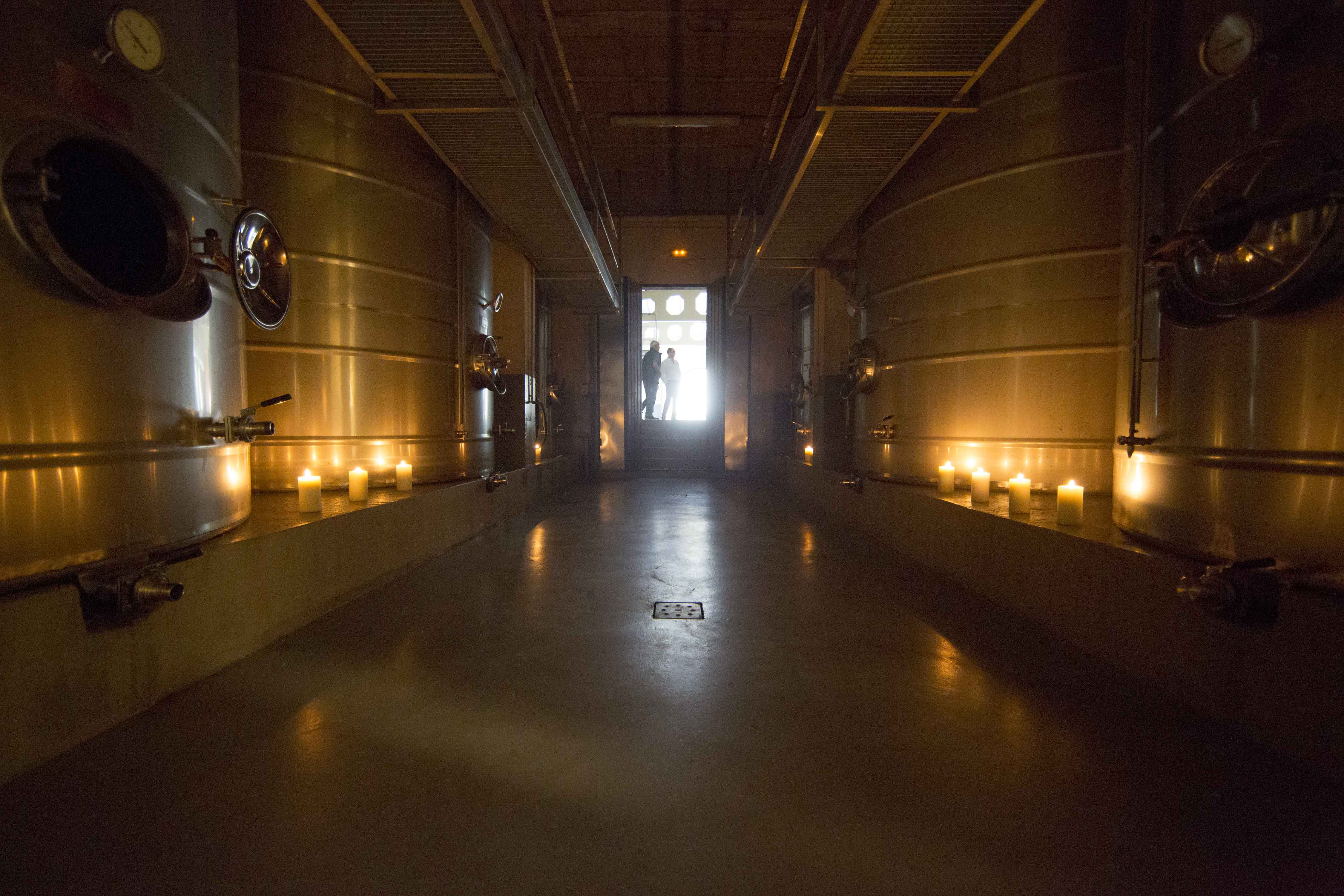 NAVE DE FERMENTACION 