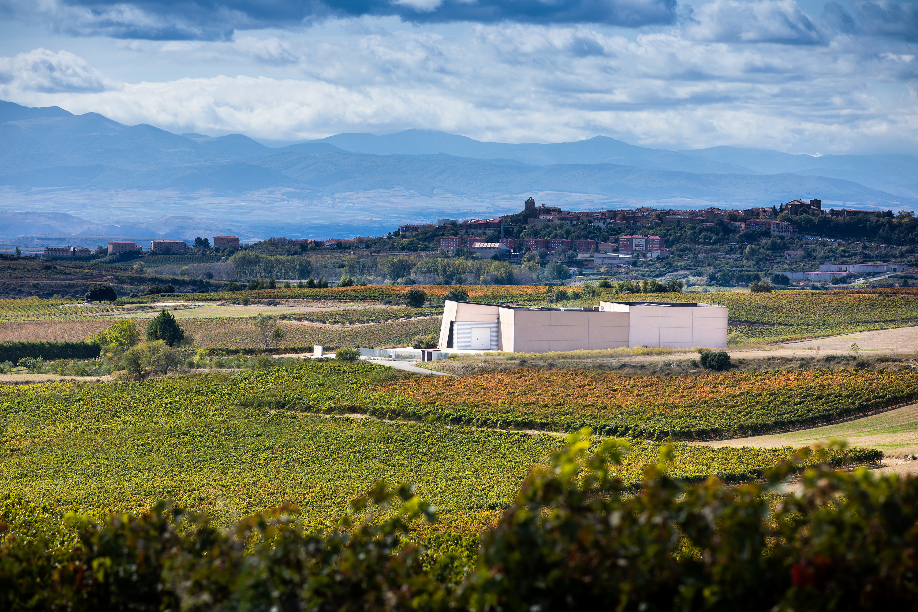 ALTOS DE RIOJA